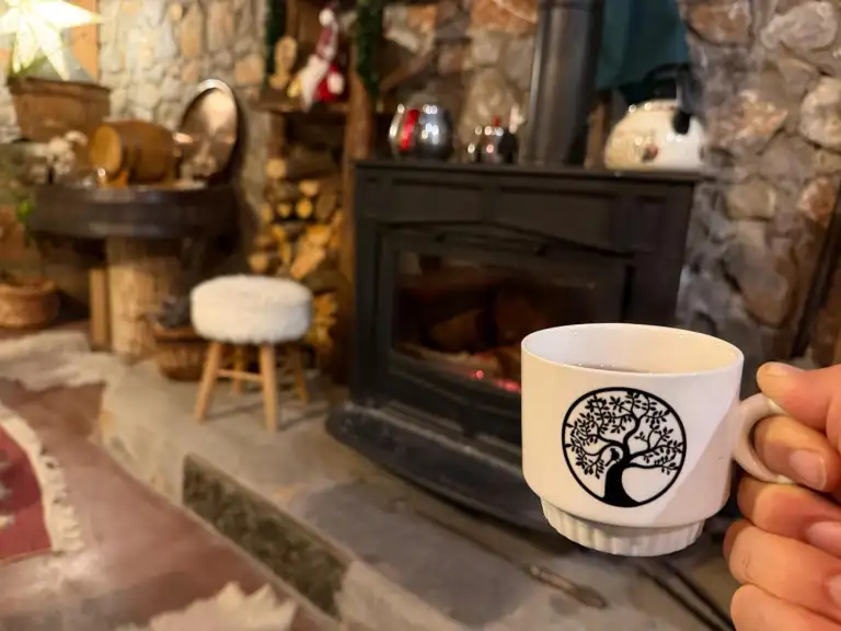 Instagram post from banyanmom. This post is in position 0.